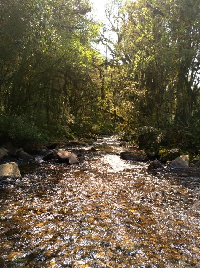 Chales Estancia Cachoeira Do Avencal Urubici Dış mekan fotoğraf